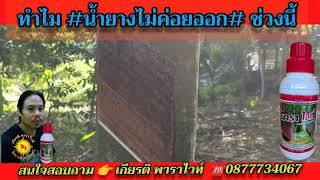 #น้ำยางไม่ค่อยออก #น้ำยางออกน้อย