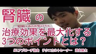 【内臓治療】腎臓の治療効果を最大化するための3つのポイントとは？　【リハビリ　セミナー　柔道整復師　東洋医学】