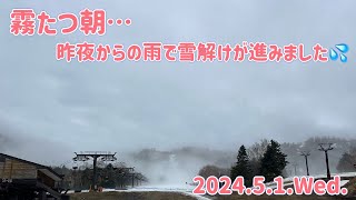 【🐻ラジM】霧たつ朝…昨夜からの雨で雪解けが進みました💦2024.5.1.Wed.