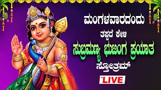 🔴LiveIಮಂಗಳವಾರ ತಪ್ಪದೆ ಕೇಳಿ ಶ್ರೀ ಸುಬ್ರಹ್ಮಣ್ಯ ಭುಜಂಗ ಪ್ರಯತ ಸ್ತೋತ್ರ|Subrahmaṇya bhujanga Prayatha Sthotra