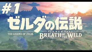 #1【ゼルダの伝説BotW】3Dゼルダ初挑戦【初見実況LIVE】