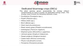 M-22. Biomass as an Energy source