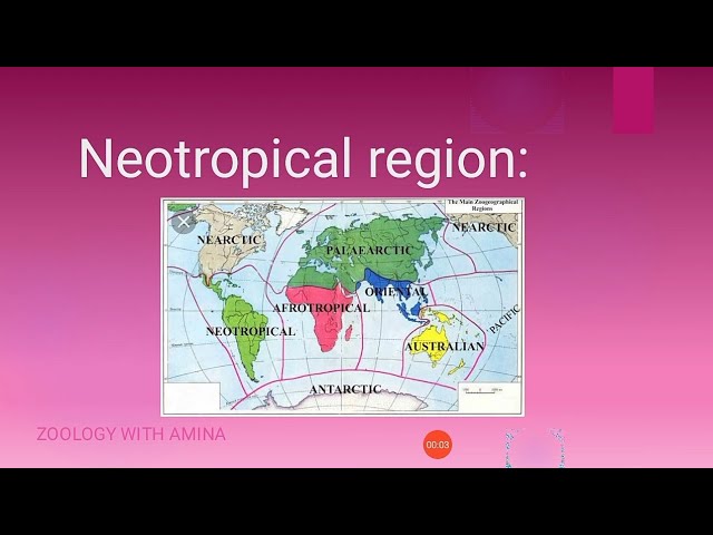 Neotropical Region