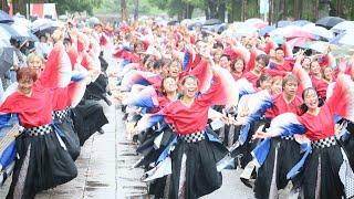 光が丘よさこい20190714 2 C　関東学院大学 誇咲