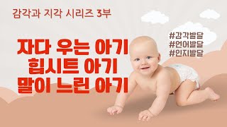 [감각과 지각] 시리즈 3부 - 아이는 감각으로 모든 걸 이야기합니다