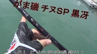 がま磯チヌＳＰ黒冴デビュー № 12