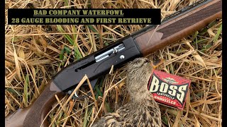 Bad Company Waterfowl 2021: A Morning of Firsts - Blooding the 28 Gauge and Gunner's first Retrieve