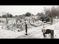 2022年雪の中散歩