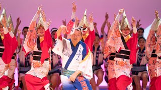 本場徳島阿波おどり・蜂須賀連_阿波おどり会館③_ 20190323 Awaodori in Tokushima Japan