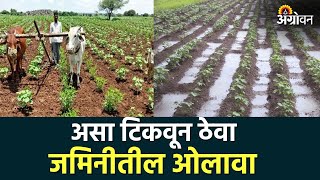 Soil Water Conservation : उभ्या पिकात पावसाचं पाणी मुरविण्याचे उपाय | ॲग्रोवन | Agrowon