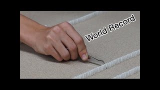 Guinness World Record - Most mini dominoes toppled - VideoStudio