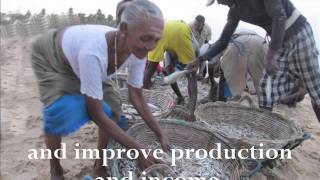 Improving Livelihoods