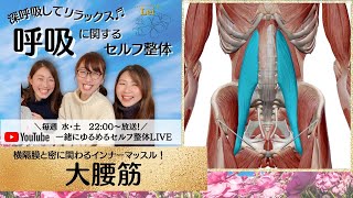 「大腰筋のセルフ整体」横隔膜と密に関わるインナーマッスル！ 呼吸に関するセルフ整体#7〜筋肉がふわっと柔らかくなるミオンパシー|一緒にゆるめるセルフ整体LIVE