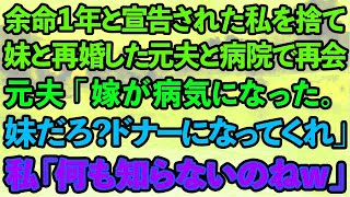 【スカッとする話】余命1年と宣告された私を捨て、妹と再婚した元夫と病院で再会「嫁が病気になった。ドナーになってくれ。」→私「何も知らないのねw」実は…【修羅場】