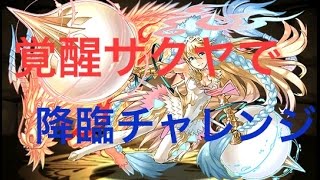 【パズドラ】降臨チャレンジ　ノーコン　女神降臨！【回復強化】　覚醒サクヤPT