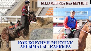 КОК БОРУДОГУ ЭН КУЛУК АРГЫМАК - КАРКЫРА/ МАЙРАМБЕК РЫСПЕКОВ МЕНЕН КАРКЫРАНЫН ТАНДЕМИ