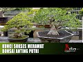 KUNCI SUKSES MERAWAT BONSAI ANTING PUTRI