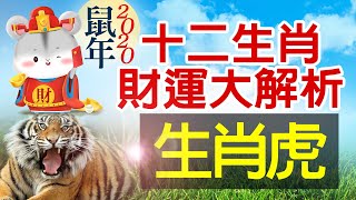 林海陽 2020十二生肖運勢 財運大解析-虎 109年金鼠年(庚子) 20191226