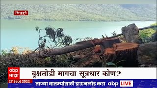 Sindhudurg Tree Cutting : सिंधुदुर्गात बेसुमार वृक्षतोड, परिसरातील एक हजार झाडांची कत्तल