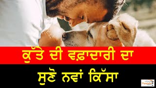 ਕੁੱਤੇ ਦੀ ਵਫ਼ਾਦਾਰੀ ਦਾ ਸੁਣੋ ਨਵਾਂ ਕਿੱਸਾ | #Dog Defended Her owner From #MountainLion