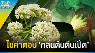 ไขคำตอบ \