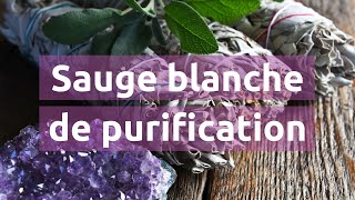 Sauge blanche Amérindienne pour purifier un lieu 🍃 | White Sage Bundles 🔥| Vibratis