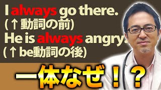 【頻度の副詞】副詞の位置には３パターンある！学校で習わないニュアンスの違いを解説！