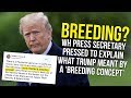 WH Reporters Press Sarah Sanders On Trump Tweet About ‘Breeding’ WH Reporters Press Sarah Sanders On Trump Tweet About ‘Breeding’