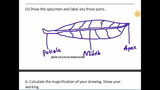 MSCE BIOLOGY PAPER II , EXAMINATION COACHING (WhatsApp or call 0996191946)