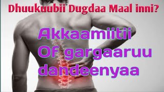 Dhuukuubii Dugdaa Maal Inni? Akkaamiitii of gargaaruu dandeenyaa |Hirko man| Dr calaa || dr Abdisa||