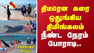 திடீரென கரை ஒதுங்கிய திமிங்கலம்..நீண்ட நேரம் போராடி.. வைரலாகும் வீடியோ