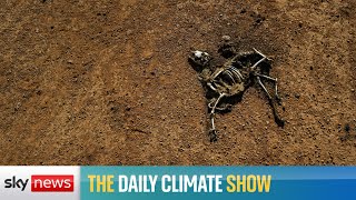 The Daily Climate Show: Famine warning in Africa