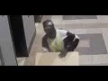 residential burglary 2xx n 16th st dc 21 09 014715