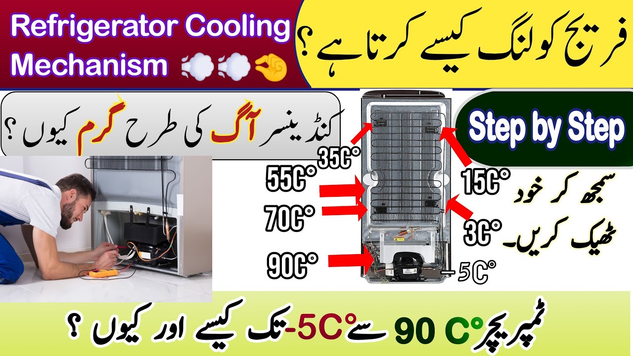 How Refrigerator Works Animation At Theresa Chapa Blog