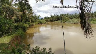 MANCING IKAN:JORAN KU MELENGKUNG😱 LUAR BIASA SPOT SPOT TERBAIK 2025.