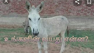 உங்கள் வயது என்ன?