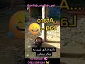 شکار بی نظیر اگه دلشو نداری نبین پارسیان_کت گربه_بریتیش گربه_فنجونی parsiancat گربه_عشق