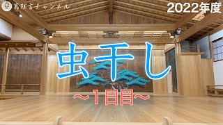 虫干し1日目！