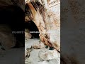 சமணர் படுகை samanar caves history jain madurai cave mountains சமணர் வரலாறு_ரகசியங்கள்