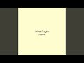Silver Fragile