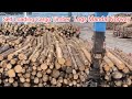 Self Loading Timber Logs Norway's 4100 Tones