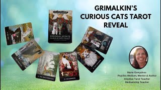 Grimalkin's Curious Cats Tarot by MJ Cullinane - Tarot Reveal