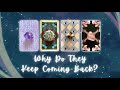 Why Does This Energy and/or Person Keep Coming Back?🫠 Pick a Card🔮 Timeless In-Depth Tarot Reading