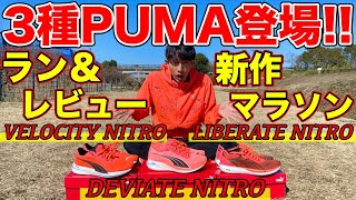 PUMAの新作シューズ3種類を履いて比較してレビューしてみた【プーマ】【ランニング】【マラソン】