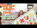 Jelly Roll Sampler Quilt: 2023 National Sew a Jelly Roll Day Quilt