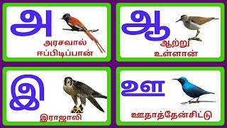 Learn tamil alphabets  /உயிர் எழுத்துகள்  /அஆஇஈ உயிர் எழுத்துகள்(@Littlekidsworld)