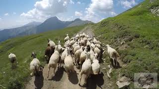 Διαδρομή Τρίκαλα - Νιάλα με μηχανή. Agrafa mountain niala pass.