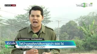 ไฟไหม้สวนทุเรียนลับแลกว่า 500 ไร่ | 15-02-59 | เช้าข่าวชัดโซเชียล | ThairathTV