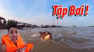 NTN - Thả Chó Alaska Xuống Sông (My Alaska Dog Learned To Swim And Almost Drowned)