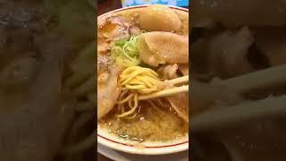 【飯テロ！北海道！】旭川で食べる京都ラーメン！まよさわ